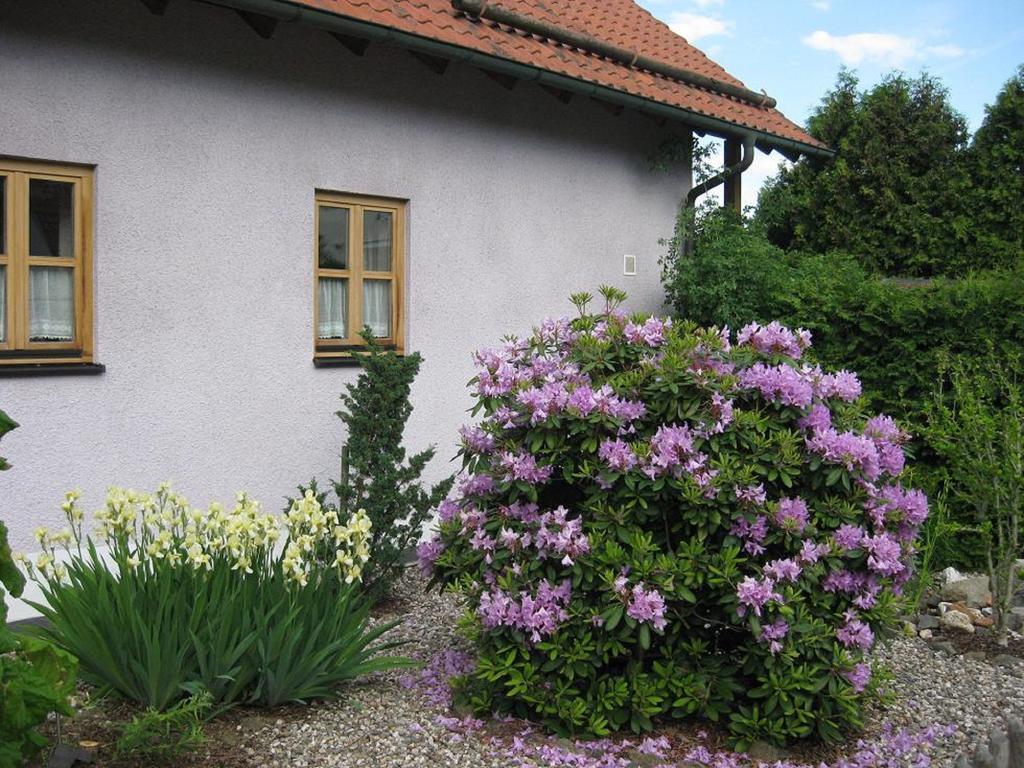Ferienwohnung Spitzner Stornstein Eksteriør billede
